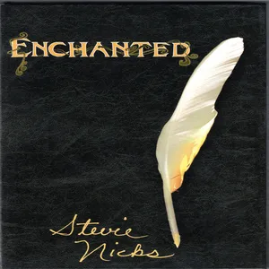 The enchanted works of Stevie Nicks